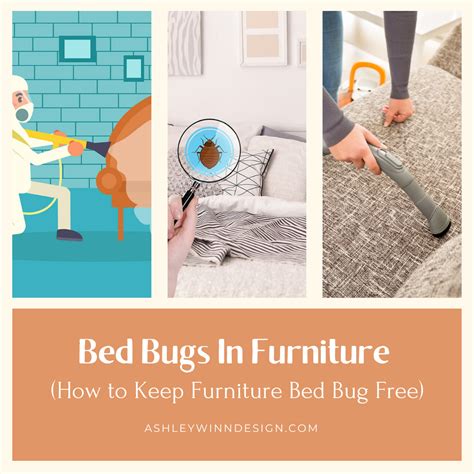 Bed Bugs In Furniture How To Keep Furniture Bed Bug Free