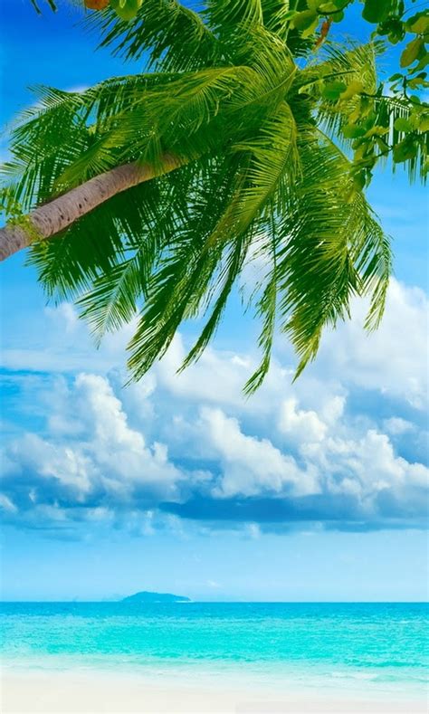 Beautiful Maldives Paisajes Playa Playas Exóticas Playas Hermosas