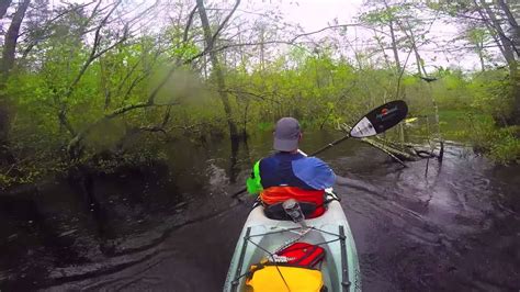Maybe you would like to learn more about one of these? Cheraw State Park - YouTube