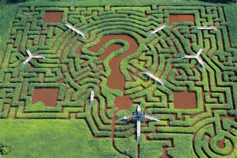 Garden Mazes And Labyrinths Hgtv