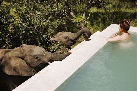 best luxury villas for an african safari trip totalprestige magazine