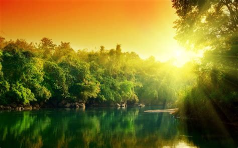 River Forest Sunset Wallpaper 2560x1600 31644