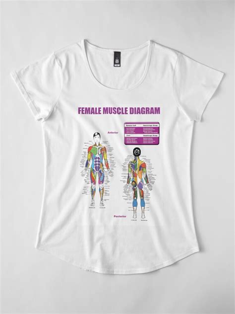 Female Muscle Diagram Anatomy Chart T Shirt By Superfitstuff