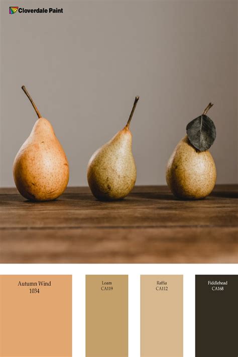 Warm And Subtle Earth Tone Colour Palette Earth Tone Color Palette