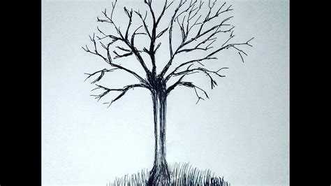 Drawing Of A Tree Without Leaves Drawing Arts Sketch