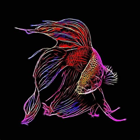 Pin By Alex Bazhan On Fractal Neon Animals Betta Fish Siamese