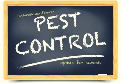 Pest Control Service For School At Rs 1square Feet In Pune Id