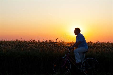Man Riding A Bicycle At Sunset Stock Photo Image Of Meadow Outdoors