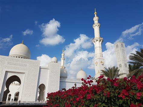 Abu Dhabi Sightseeing In The Morning Emirates4you Tour And Safari