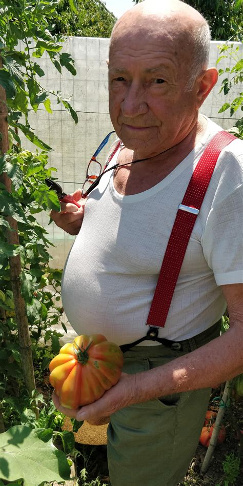 My Grandpa Showing Off His Tomatoes Https Ift Tt En Psk Grandpa Old Grandpa Make You Smile