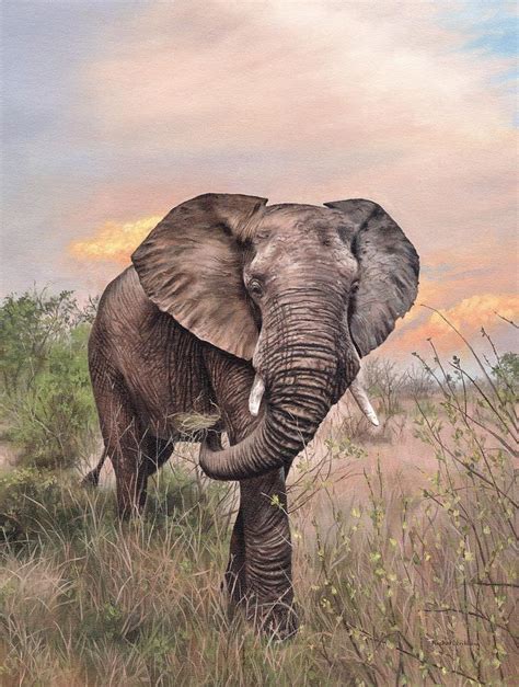 African Elephant Painting Painting By Rachel Stribbling Fine Art America