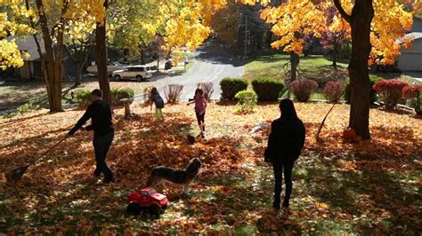 Doggie Heaven - YouTube