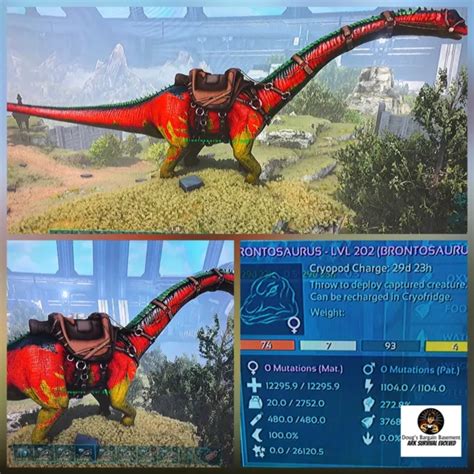 new female bronto brontosaurus ark survival evolved xbox pve official clone 4 99 picclick