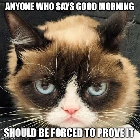 Anyone Who Says Good Morning Should Be Forced To Prove It