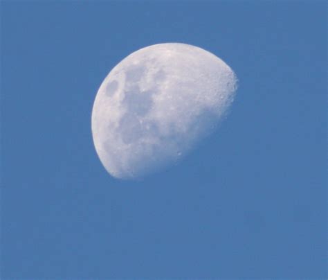 Daytime Moon Free Stock Photo Freeimages