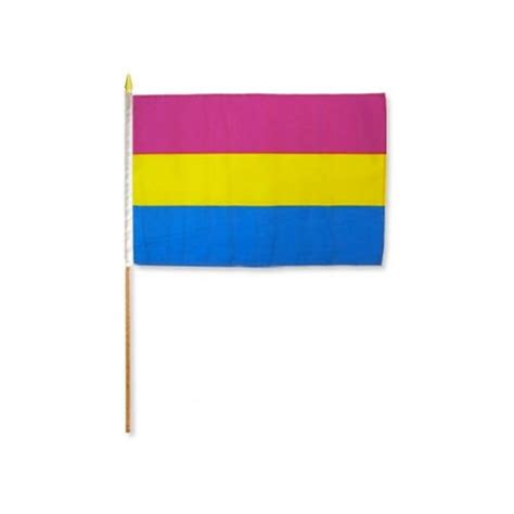 pansexual pride 30x45 cm on stick qx shop