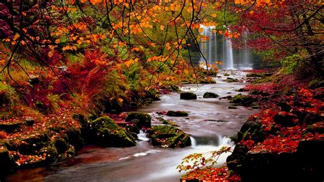Fall Autumn Wallpapers Archives Hd Desktop Wallpapers