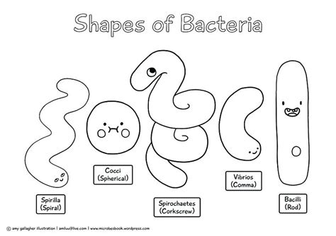 Bacteria Coloring Pages at GetColorings.com | Free printable colorings pages to print and color