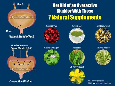 Herbal Remedy For Urinary Incontinence