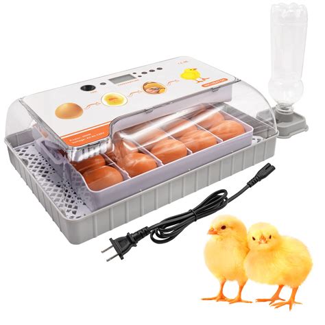 Buy Paulozyn 20 Eggs Incubators For Hatching Eggs With Digital Led