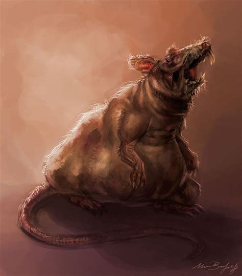 Rat Concept By Millibayley Fantasy Monster Digital Art