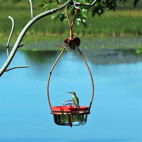 Hummingbird Feeder Dual Port Copper Garden Art Glass Hummingbird Feeder Unique Bird Feeder