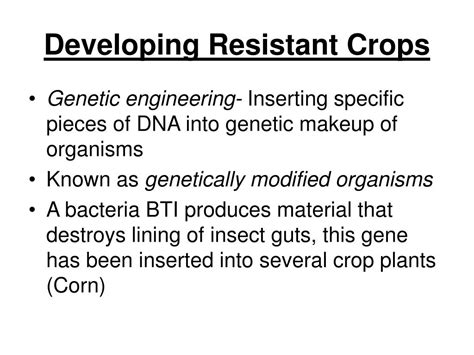 The focus of ipm is to offer the methods chosen for pest management should benefit the environment, pose little to no risk to humans and even encourage beneficial insects. PPT - Agricultural Methods and Pest Management PowerPoint ...