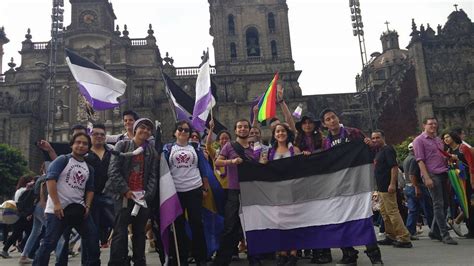 no dejes que luchemos soles conoce a asexuales mÉxico y amÉrica latina asexualidad amino