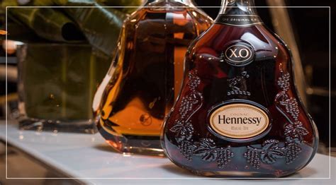 Brandy vs Cognac » What's The Difference? 🍇 in 2021 | Brandy, Cigars