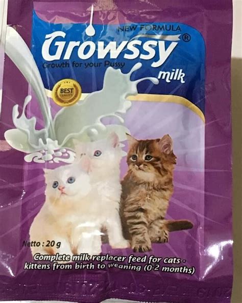 Susu Untuk Anak Kucing Yang Aman Dan Bagus Kucingmania