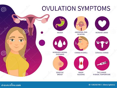 Vector Poster Ovulation Symptoms Stock Vector Illustration Of Organ