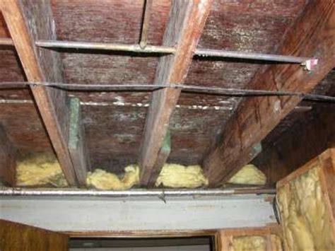 Cleaning mold to improve the condition of an unfinished wood surface. How to Kill White Mold on Wood | White Mold In Basement ...