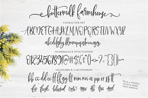 Font Friday Buttermilk Farmhouse A Rustic Script Font — Sincerely