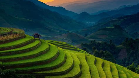 Landscape Photography Of Rice Terraces 4k Hd Nature