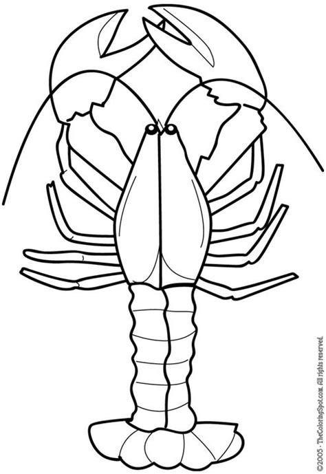 Lobster Outline Lobster Black And White Clipart Wikiclipart