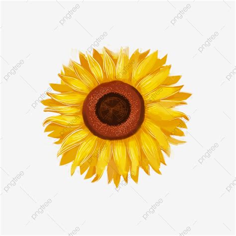 Yellow Sunflower Cutout, Sunflower, Wedding Decoration, Cutout File PNG Transparent Clipart ...
