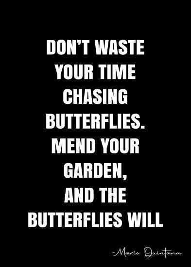 Dont Waste Your Time Chasing Butterflies Mend Your Garden And The