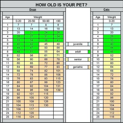 He just went for a vaccination/checkup and weighed in at 7.3 kg. Kitten Weight Chart By Age How Old Is Your Cat In People ...