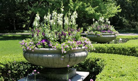Here are 3 more beautiful classic shaped urn images from an 1850's catalog! Classic urns filled to overflowing with seasonal blooms ...