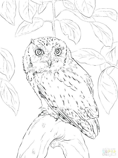 Adult coloring books are also available. Snowy Owl Coloring Page at GetColorings.com | Free ...