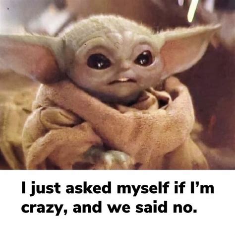 Baby Yoda Asked Myself If I Was Crazy And We Said No Yoda Funny