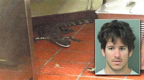 Florida Man Threw An Alligator Through The Window Of A Wendys Drive Thru Wtf Fun Facts Fun