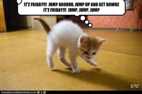 1000 Images About Happy Friday Fur Babies On Pinterest