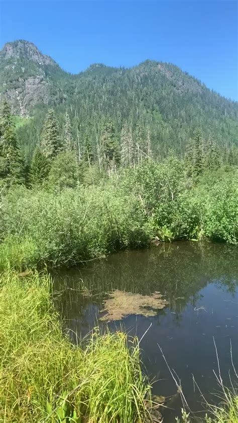 Big Four On A Clear Day Mt Baker Snoqualmie National Forest Video By Sydney Corral June 28