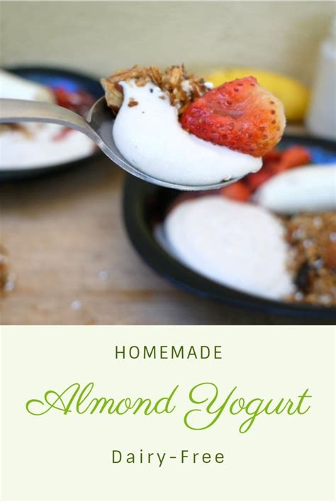 How To Make Almond Yogurt Dairy Free Artistic Vegan