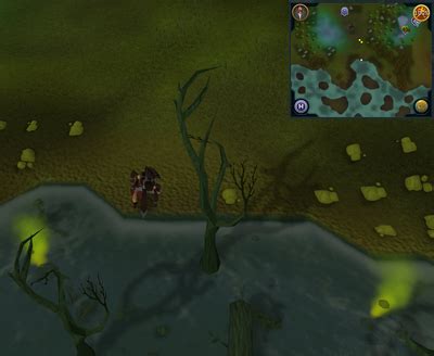 A guide to everyones favorite quest in runescape 3, the quest with the best, most fun puzzle in the game, mournings end pt ii! Quick guide for Regicide - The RuneScape Wiki