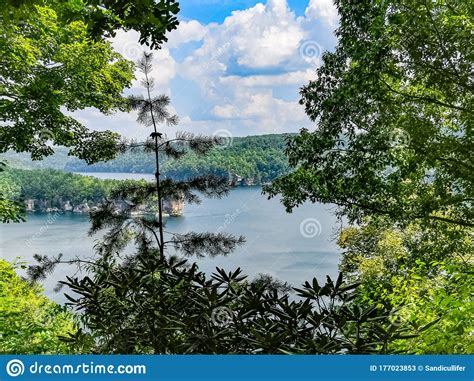 View Through The Trees Of Summersville Lake Stock Image Image Of