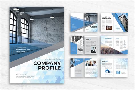Company Profile Professional Companies