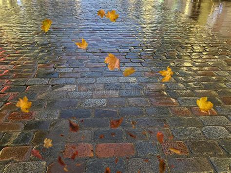 Autumn Leaves Fall Sidewalk Lit By City Evening Light Reflection On Old