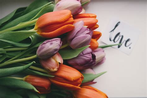 National best friend day seeks to celebrate best friends and the contribution that best friends make in our daily lives. Best International Women's Day Gifts (2021) | Diolli